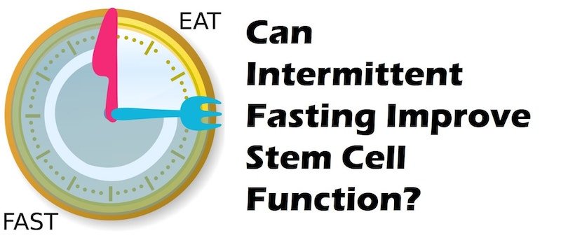 Fasting and stem cells