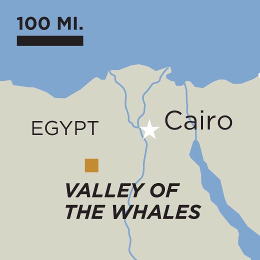 Whale Valley map