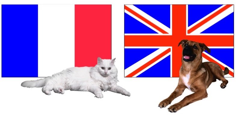 France & UK flags