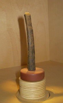 The Ishango bone